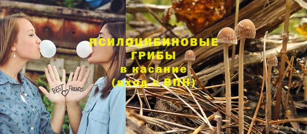 стафф Алексеевка